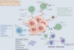 The future of cancer treatment: Insights from immunotherapy trials
