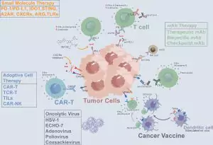 The future of cancer treatment: Insights from immunotherapy trials