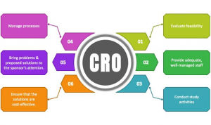 The Role of Contract Research Organizations in Modern Pharmaceutical Research